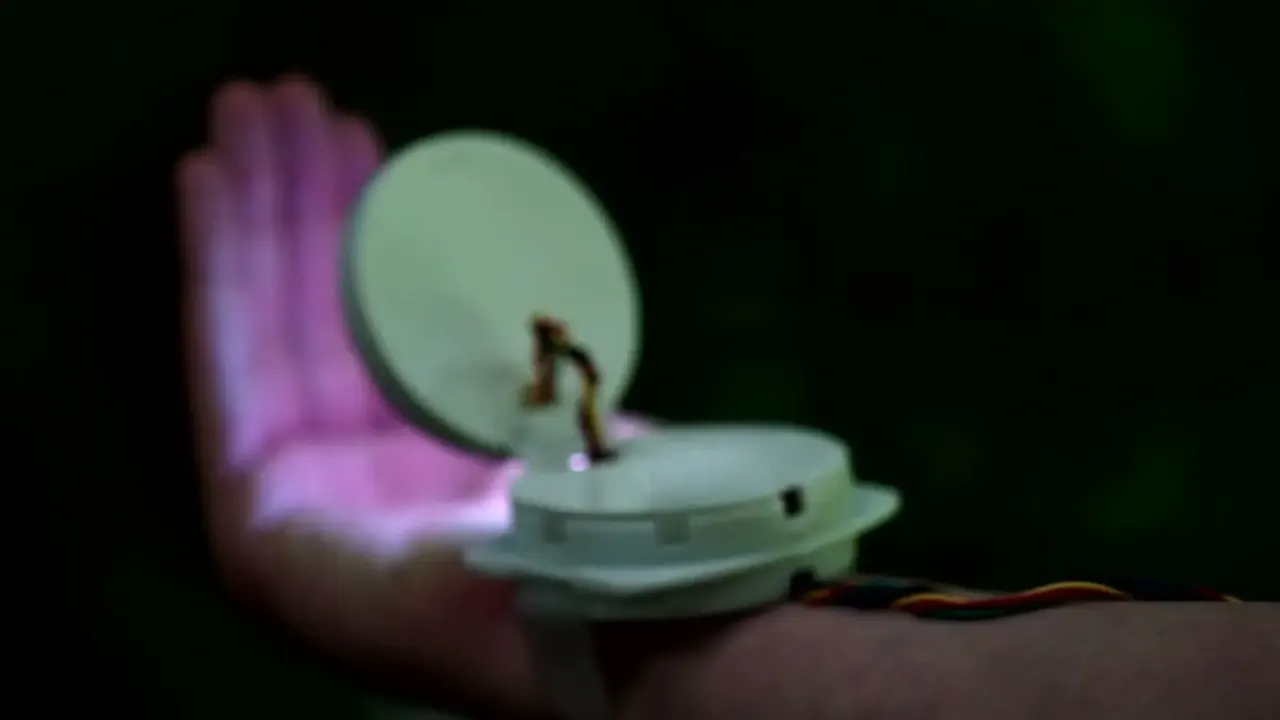 Boone open on a palm, projecting its light onto the hand