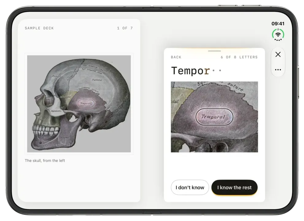 RectoVerso on iPhone Duo, opened like a book: an image-occlusion card with a skull